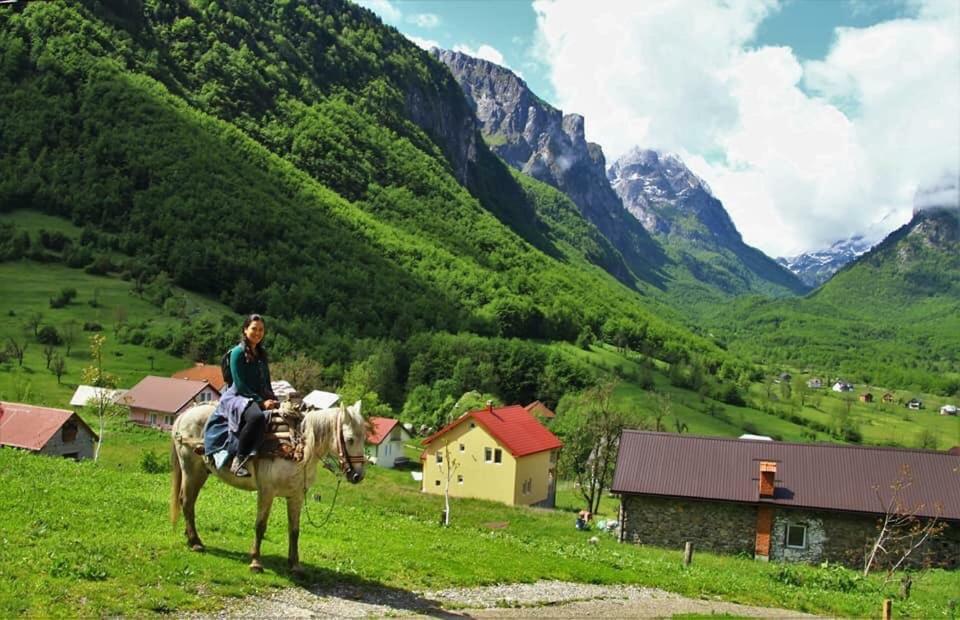 Bungalows-Oaza Vusanje Экстерьер фото
