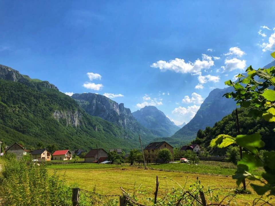 Bungalows-Oaza Vusanje Экстерьер фото
